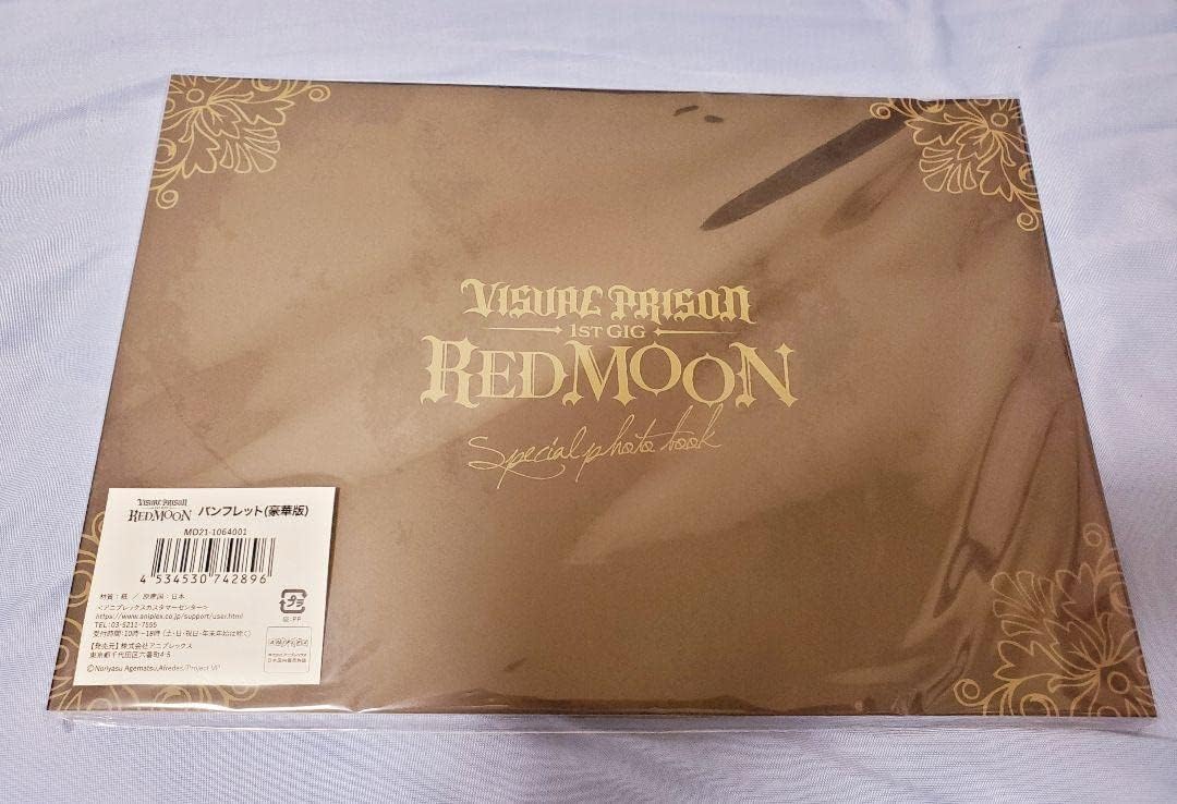 アイチュウ 2024 パンフレット アイ⭐︎チュウ 2024